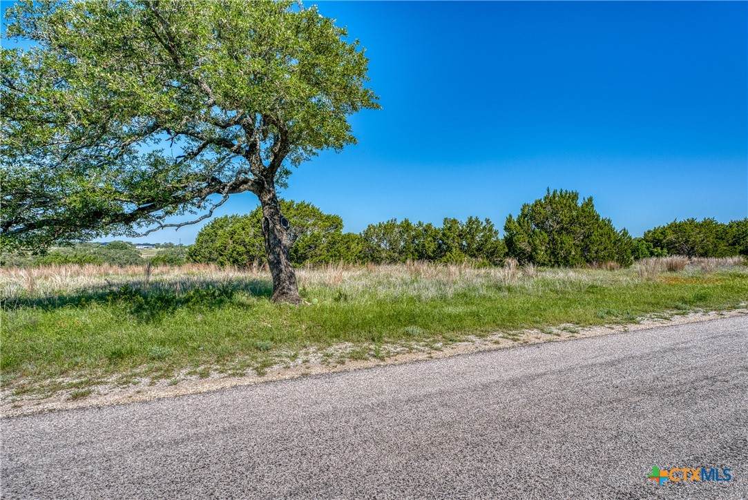 Lot 16 Sable Pass - Photo 1