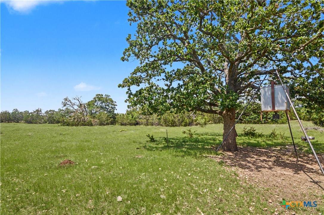 179 County Road 318 - Photo 1