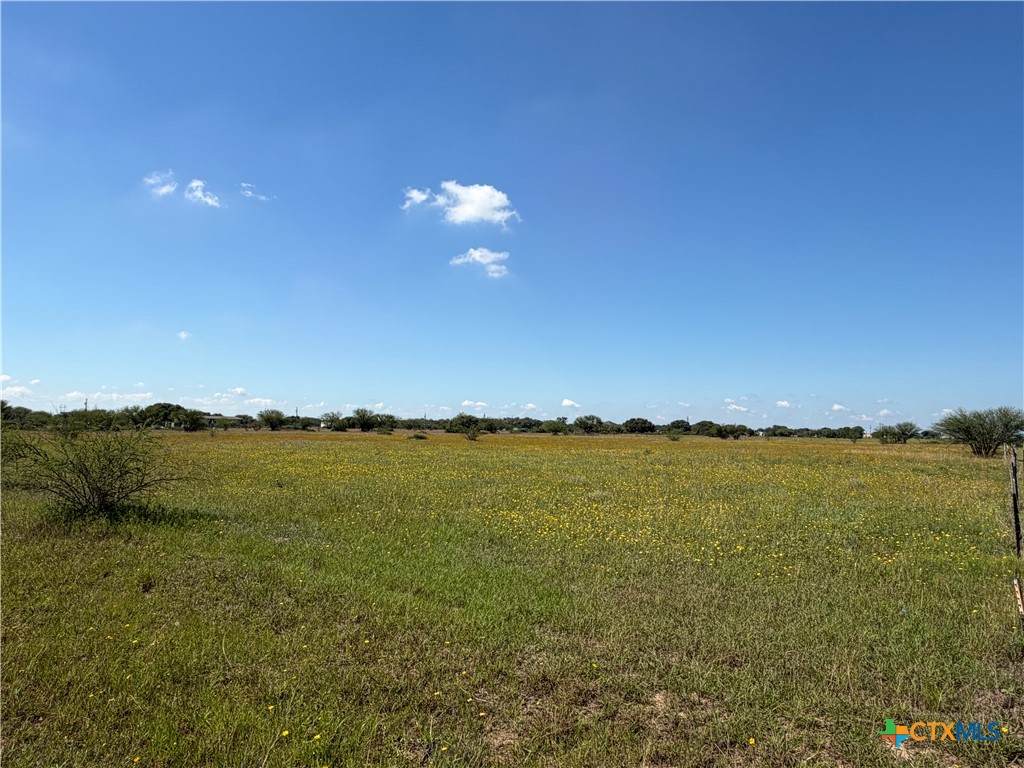 000 Madrone Lane - Photo 1
