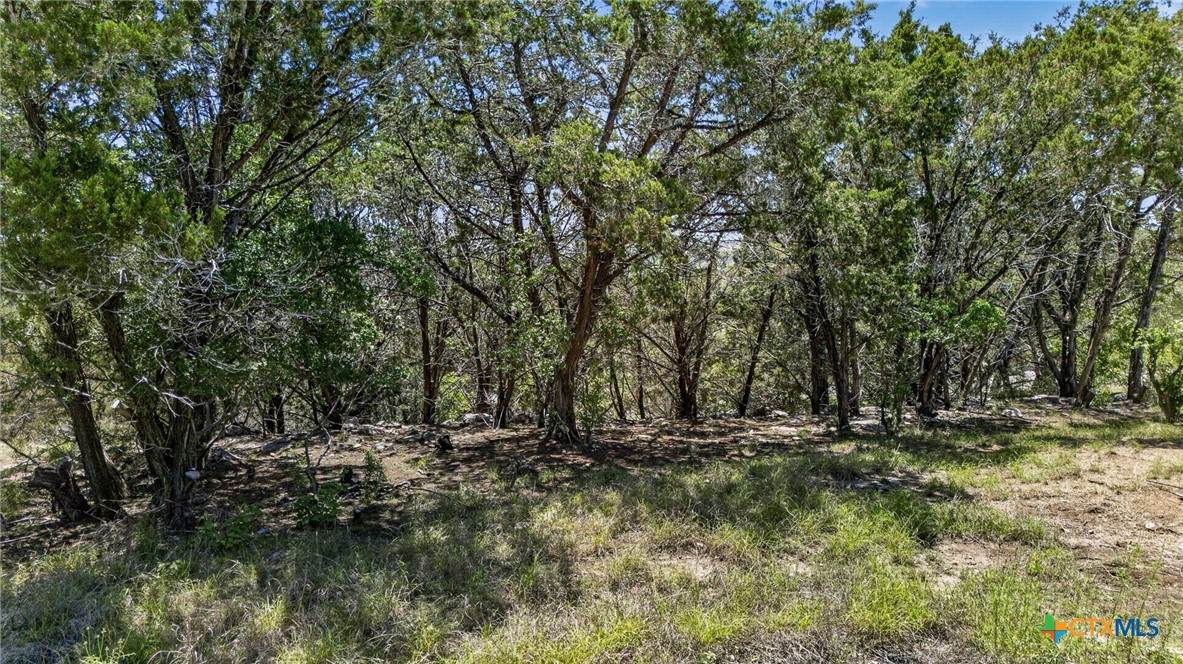 600 Lorne Road - Photo 1