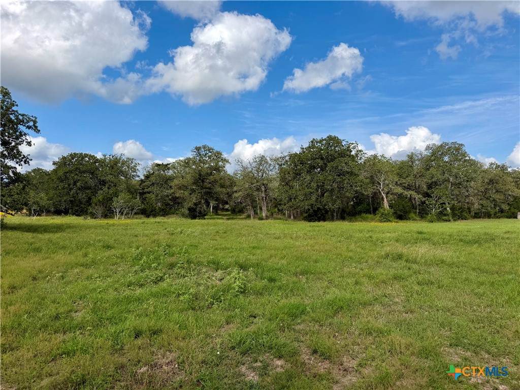 15631 Fm 682 - Tract D - Photo 1