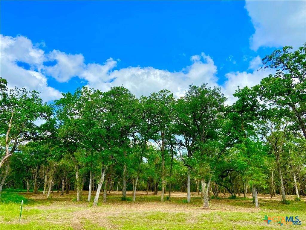 208 Post Oak Road - Photo 1