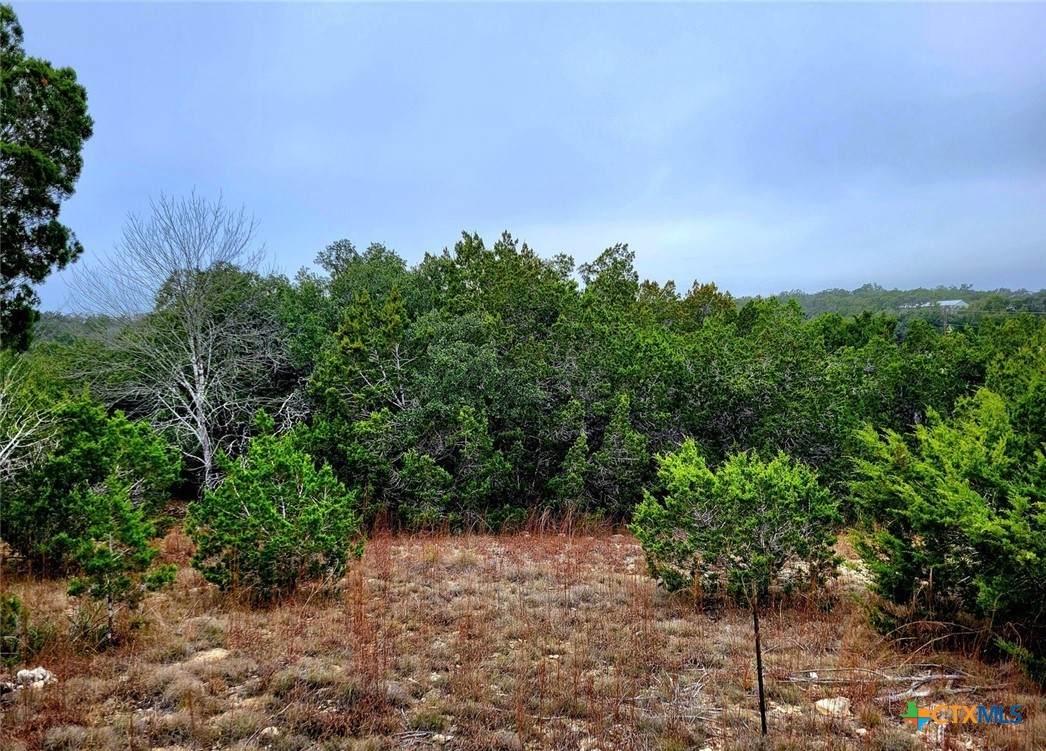 193 Appaloosa Drive - Photo 1
