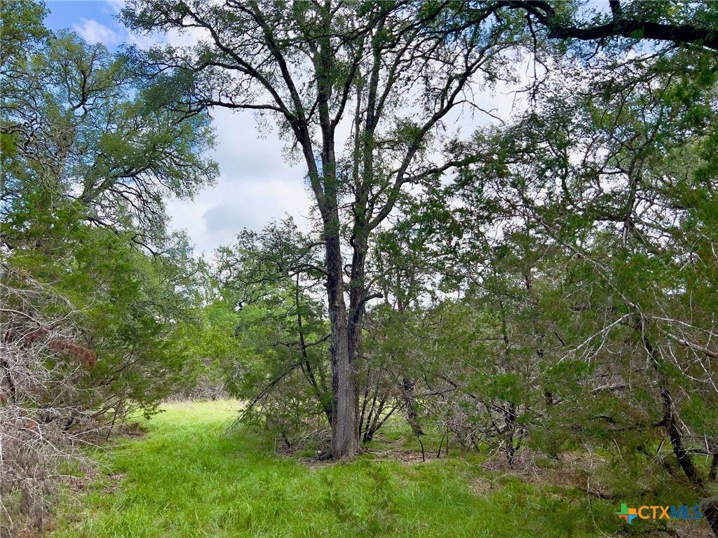 TBD Lot 43A Narrows Road - Photo 1
