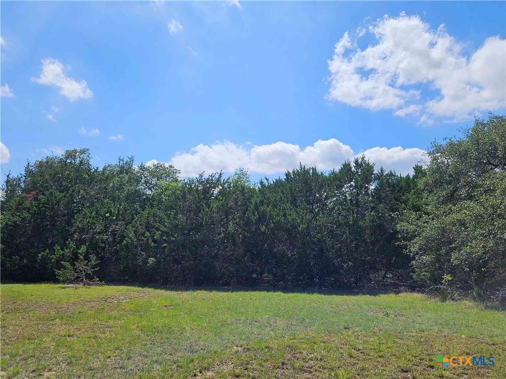 LOT 14 Cielo Springs Drive - Photo 1