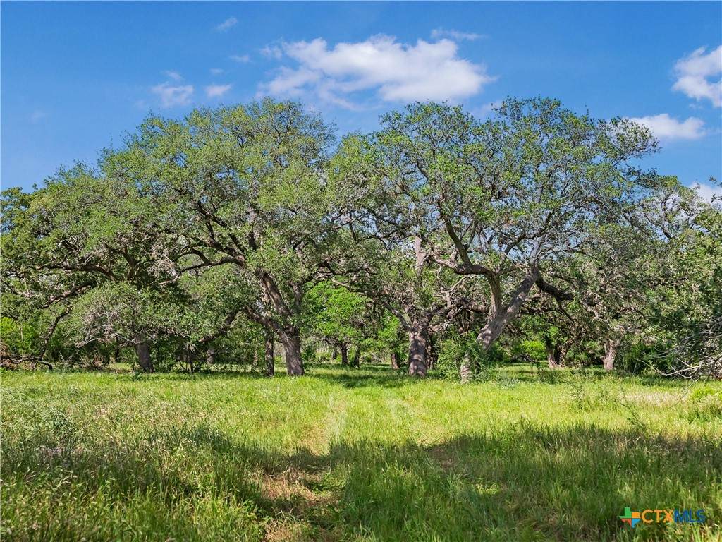 5394 Fm 237 - Photo 1