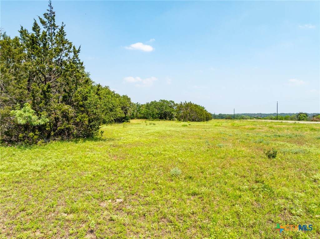 TBD Pitchfork Ranch Road - Photo 1