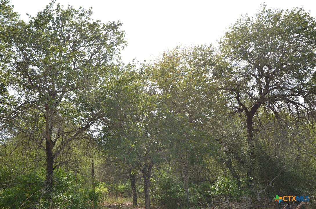 https://bt-photos.global.ssl.fastly.net/centraltx/orig_boomver_1_615092-2.jpg