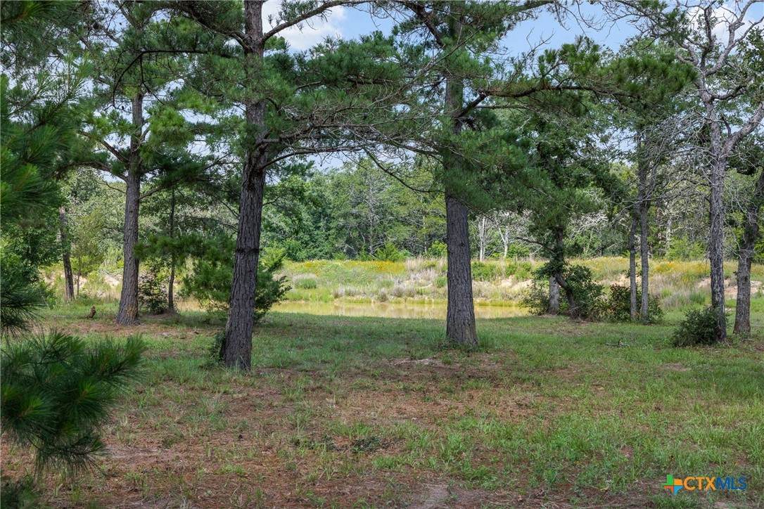305 Cistern Road - Photo 1