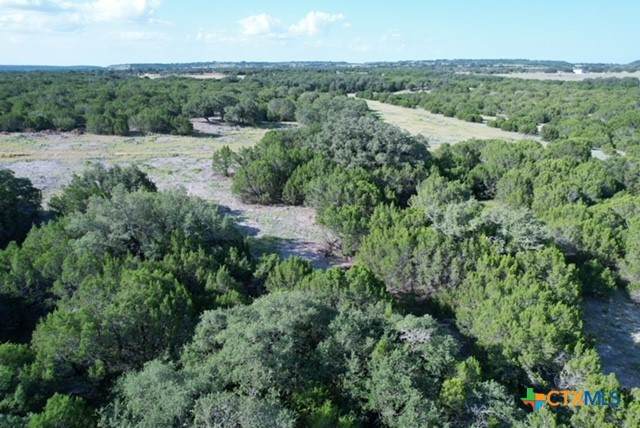 TBD County Road 2644 - Photo 1