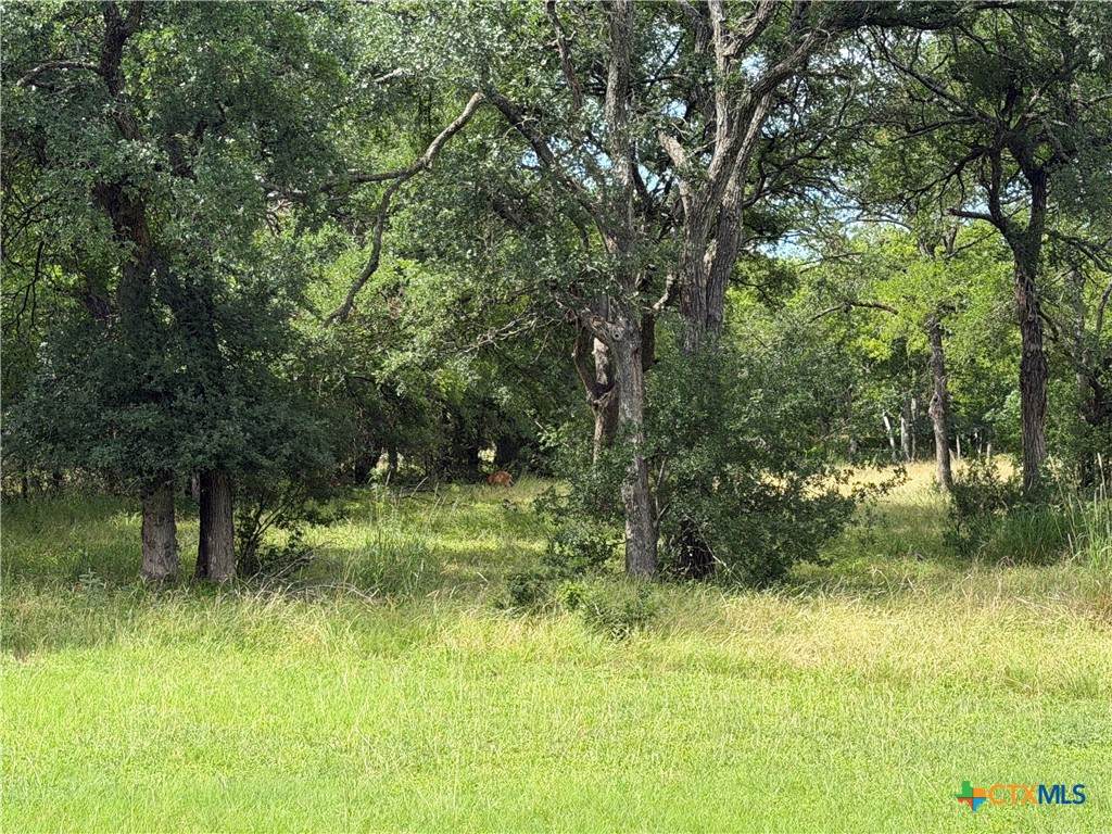 https://bt-photos.global.ssl.fastly.net/centraltx/orig_boomver_1_615350-2.jpg