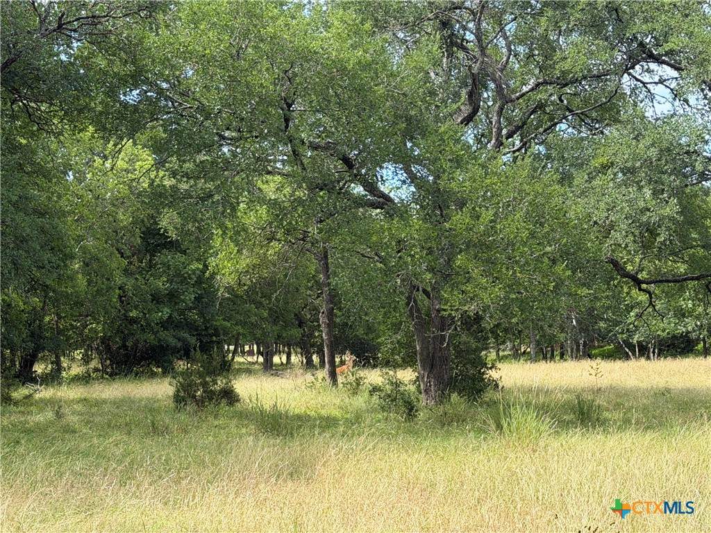 https://bt-photos.global.ssl.fastly.net/centraltx/orig_boomver_1_615350-2.jpg