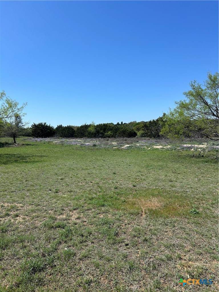 125 Cedar Bluff Loop - Photo 1