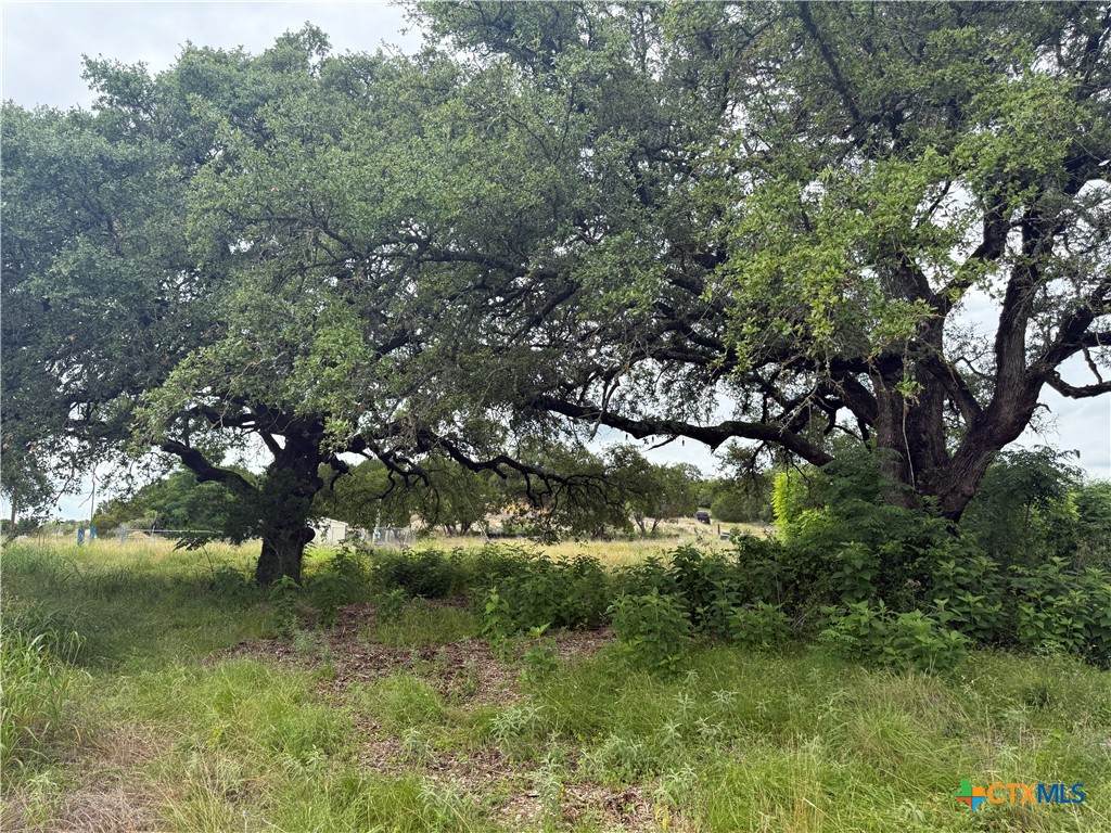 https://bt-photos.global.ssl.fastly.net/centraltx/orig_boomver_1_615861-2.jpg