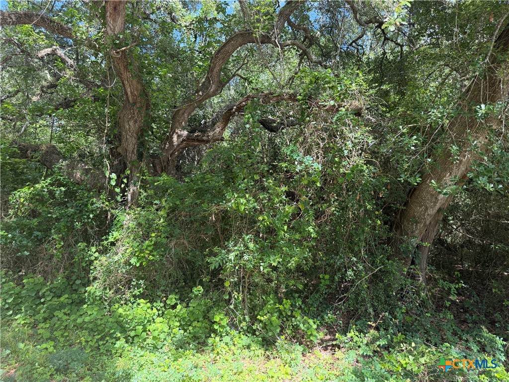 Lot 529 Grand Oak Street - Photo 1