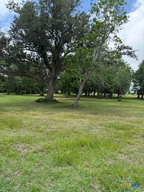 19313 State Highway 172 - Photo 1