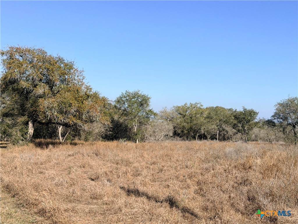 1776 Fm 1351 - Photo 1
