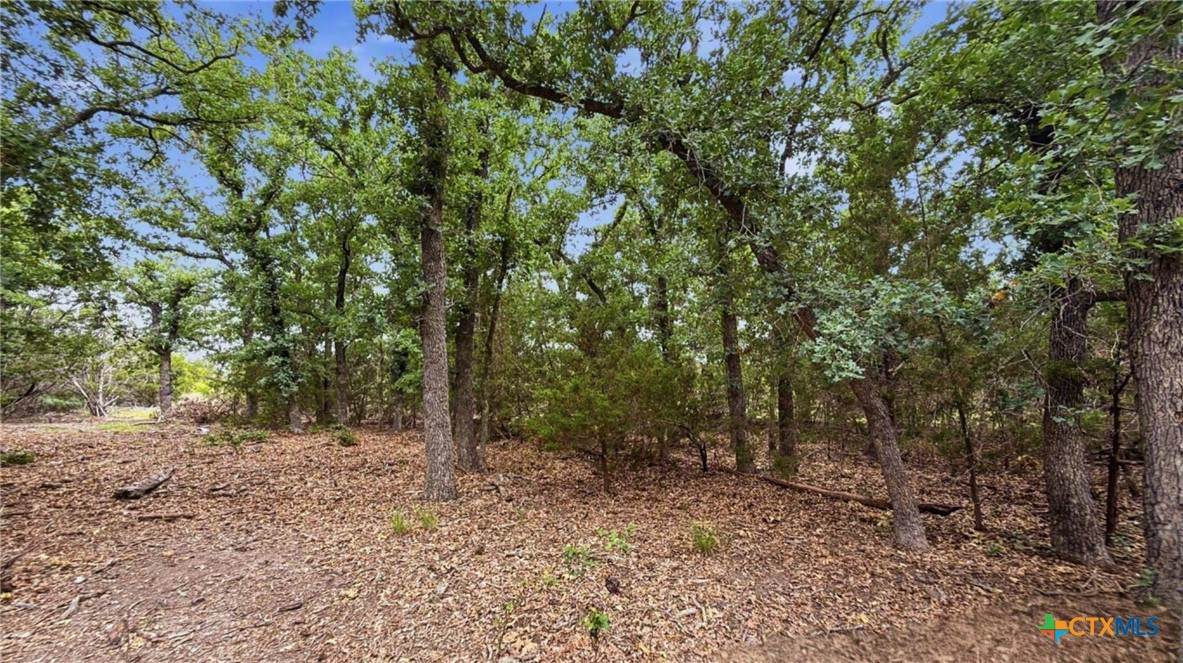 Lot 97 Ph 6 Pr 42101 - Photo 1