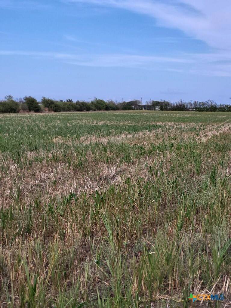 1701 W Fm 487 - Photo 1