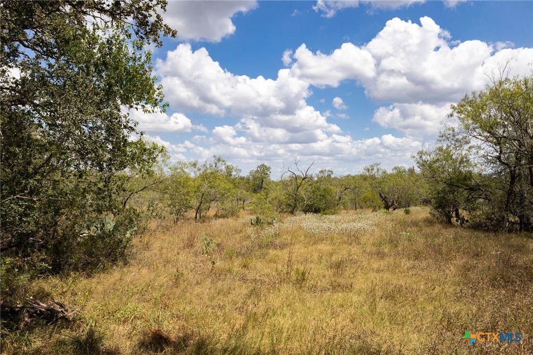 211 Halm Road - Photo 1