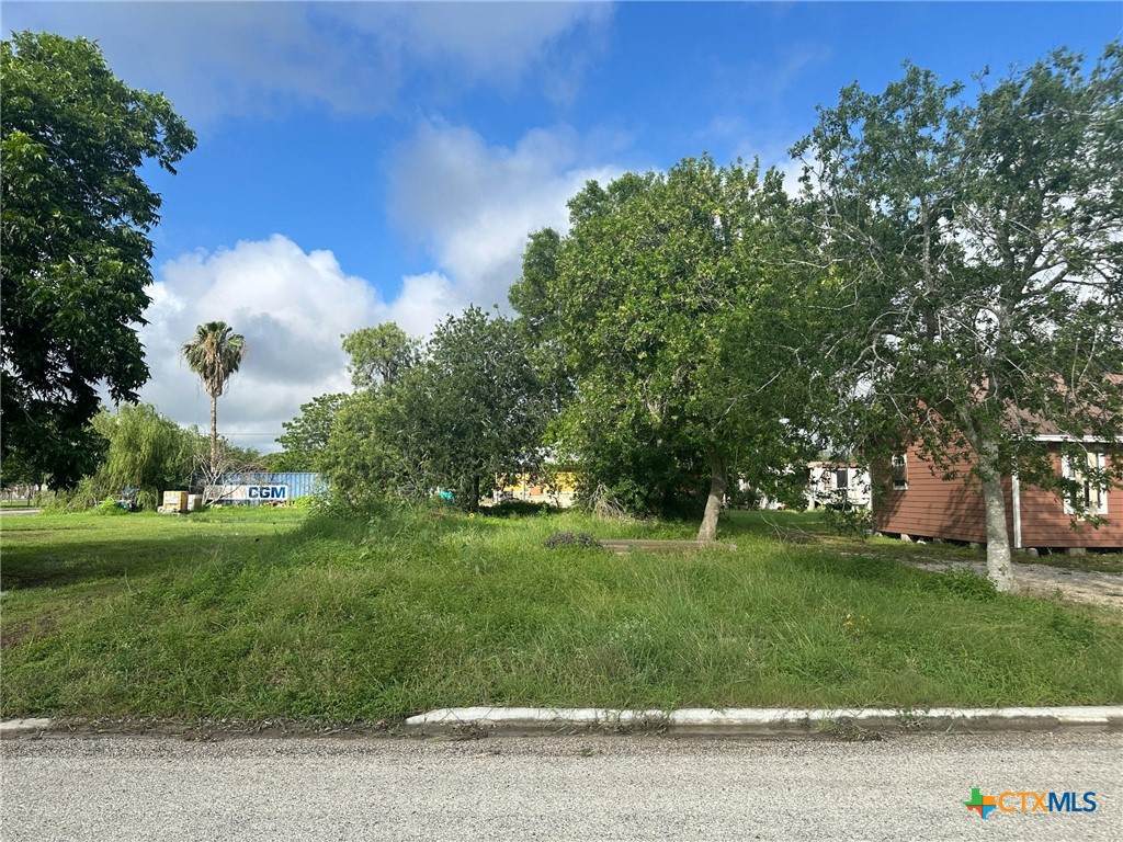 719 Benavides Street - Photo 1
