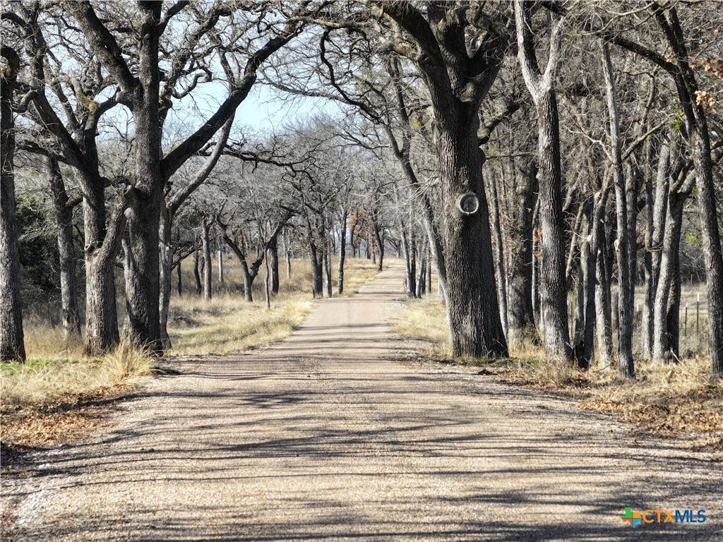 TBD Rose Way & Riverside Acres Dr - Photo 1