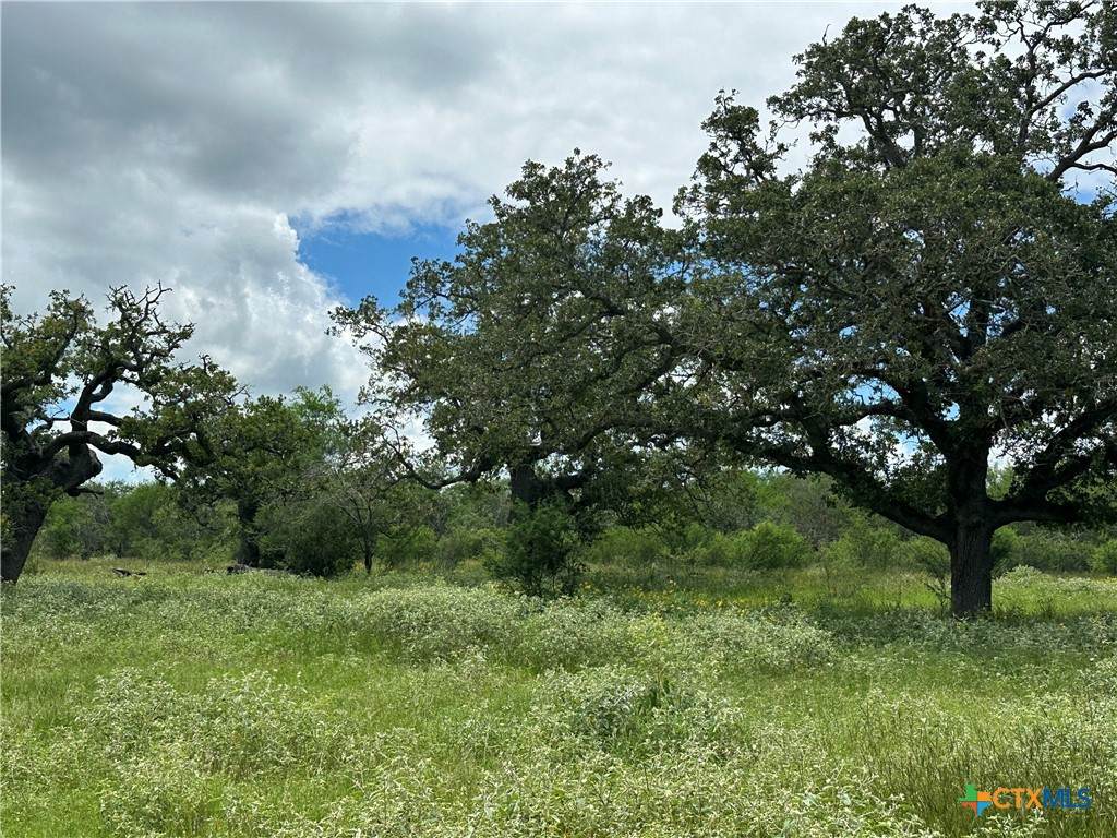 https://bt-photos.global.ssl.fastly.net/centraltx/orig_boomver_1_617926-2.jpg
