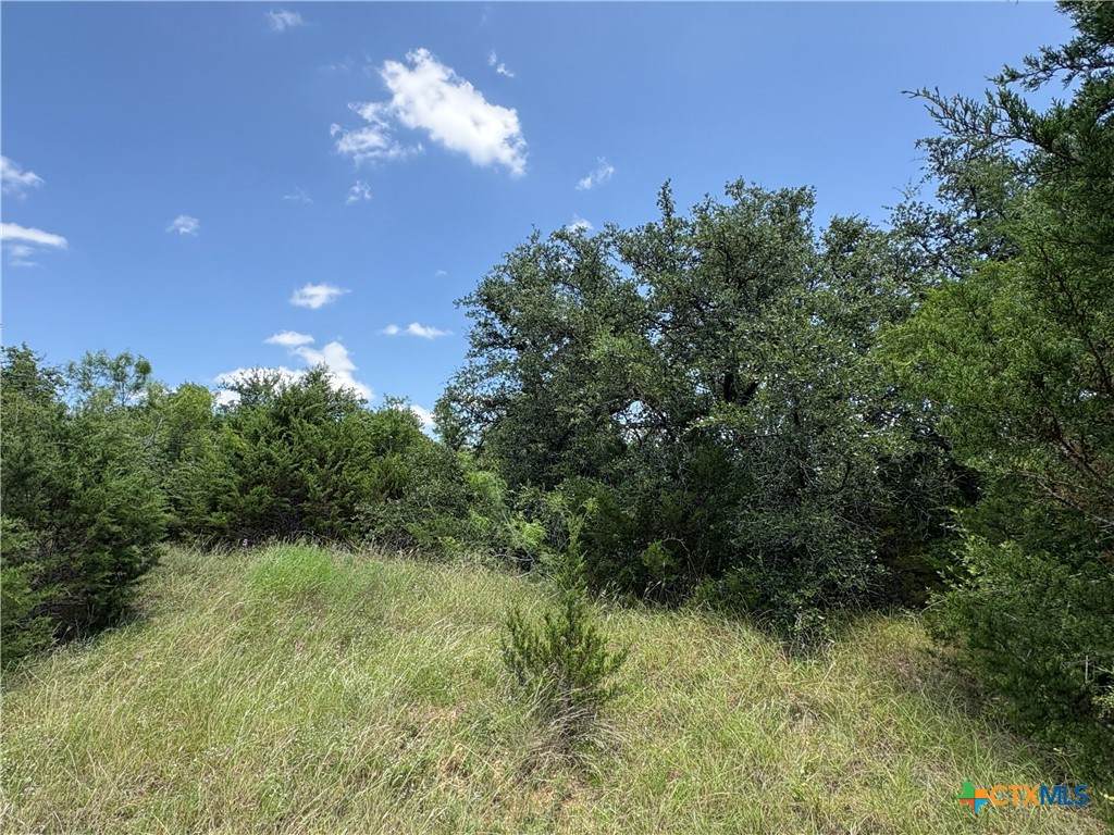 0 County Road 303 - Photo 1