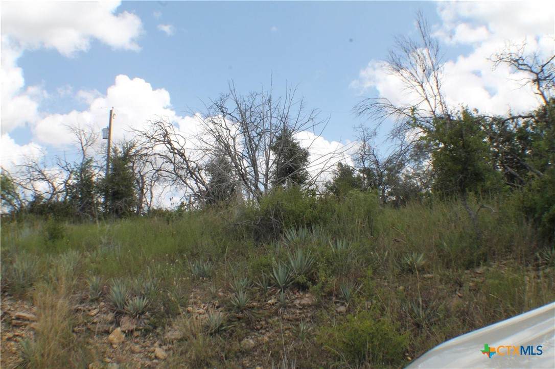 0 Newcastle Dr - Photo 1