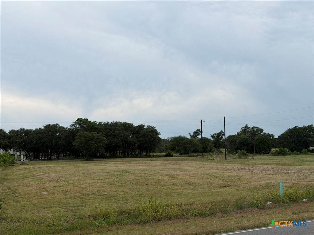 TBD Trimmier Road - Photo 1