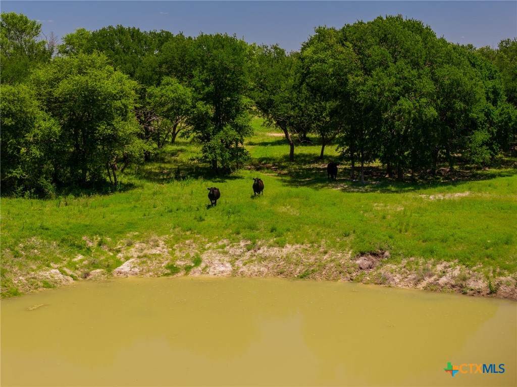 https://bt-photos.global.ssl.fastly.net/centraltx/orig_boomver_1_618749-2.jpg