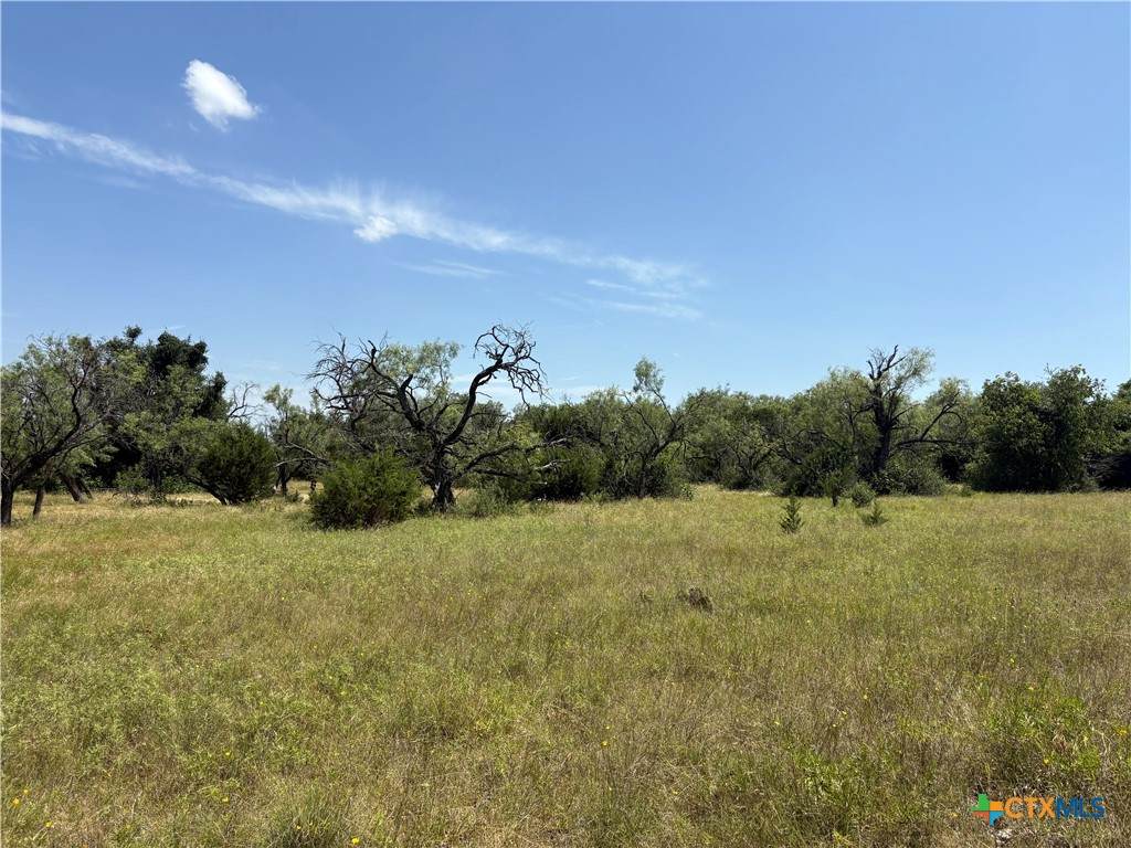 Tract 1 County Road 3421 Road - Photo 1
