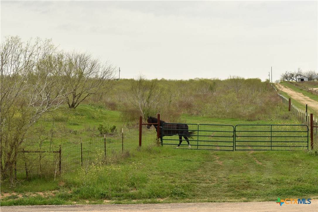 TBD Anderson Lane - Photo 1