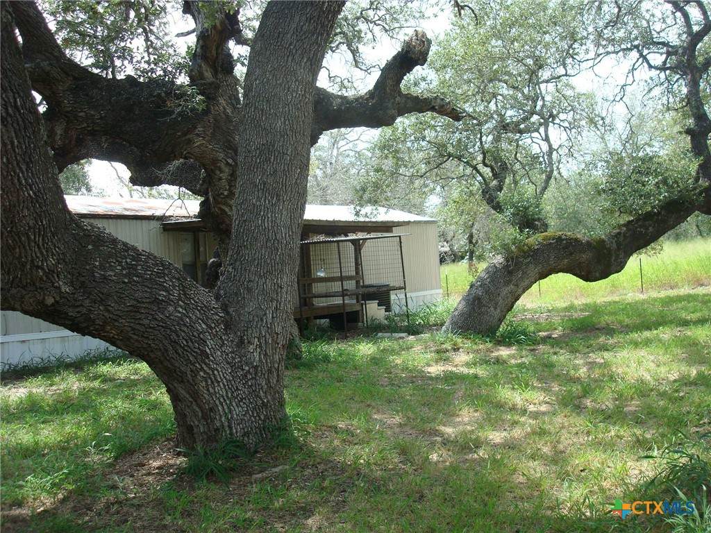 https://bt-photos.global.ssl.fastly.net/centraltx/orig_boomver_1_619557-2.jpg