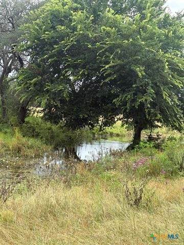 TBD County Road 200 - Photo 1