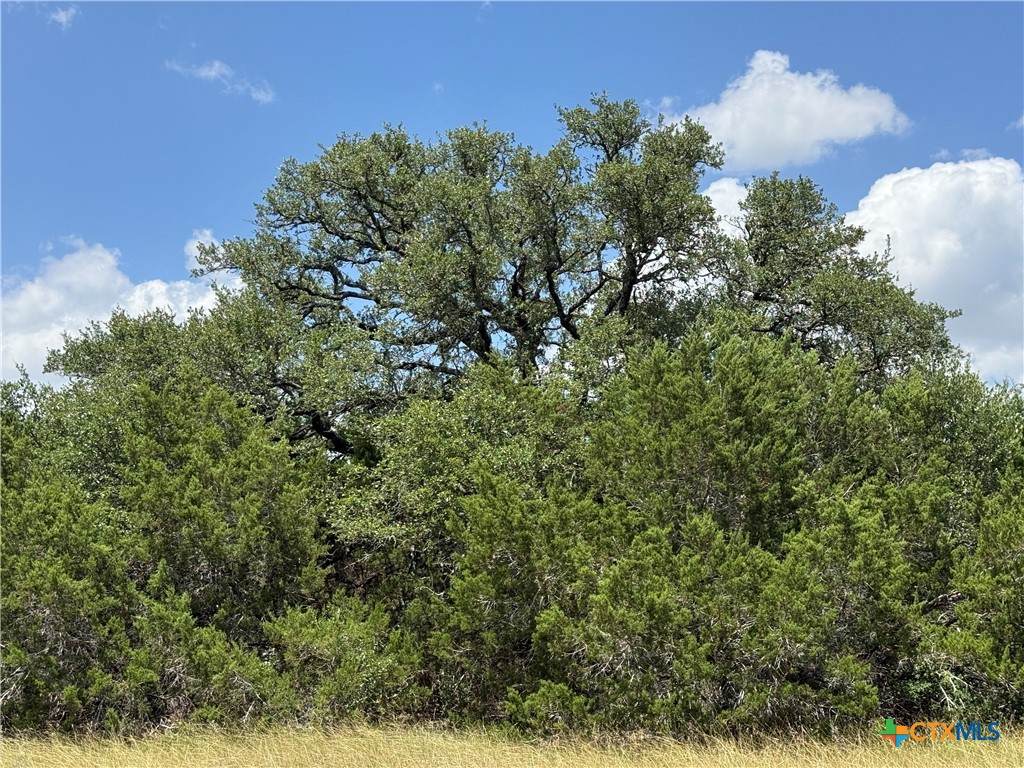 https://bt-photos.global.ssl.fastly.net/centraltx/orig_boomver_1_620013-2.jpg
