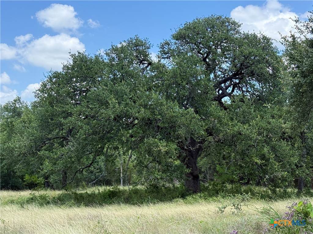 https://bt-photos.global.ssl.fastly.net/centraltx/orig_boomver_1_620471-2.jpg