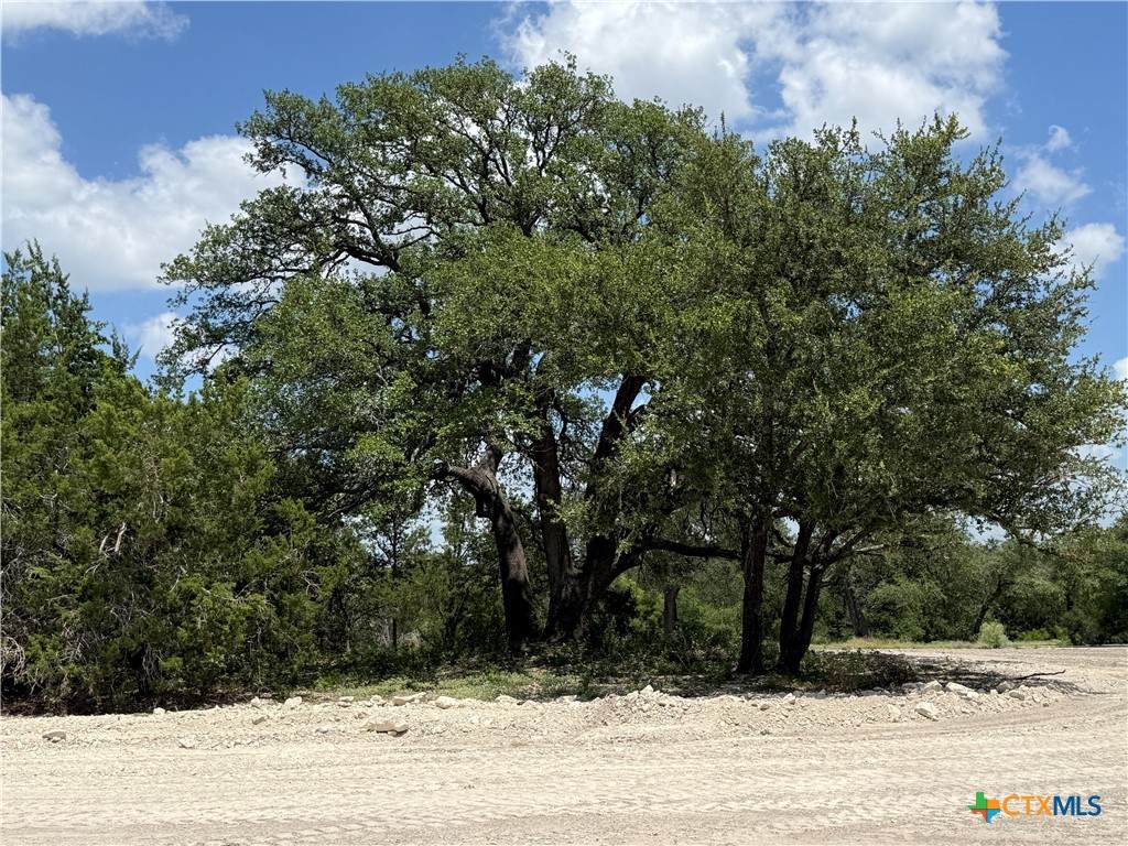 https://bt-photos.global.ssl.fastly.net/centraltx/orig_boomver_1_620484-2.jpg