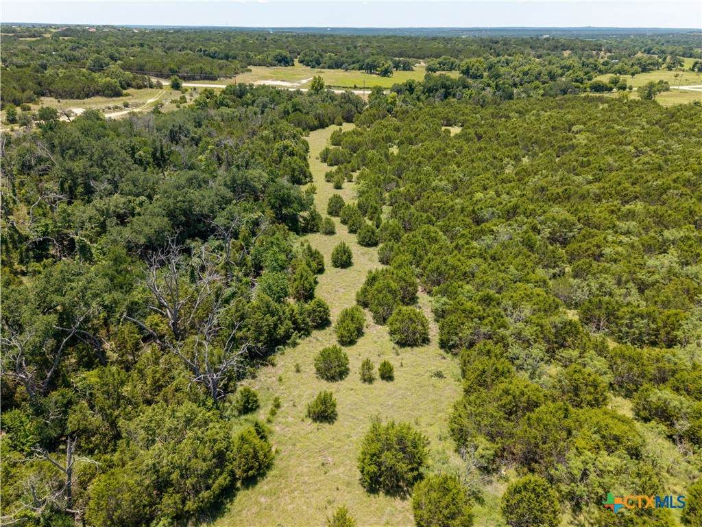 2099 Fm 2313 - Photo 1