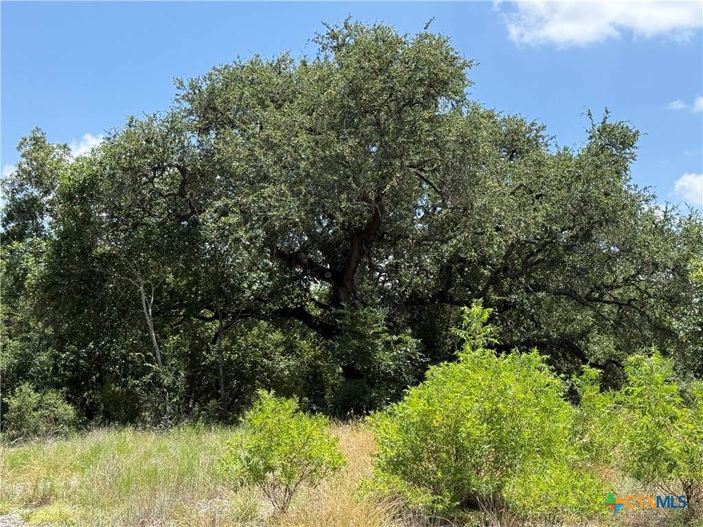 https://bt-photos.global.ssl.fastly.net/centraltx/orig_boomver_1_620679-2.jpg