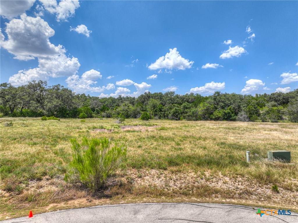 2121 Camino Way - Photo 1