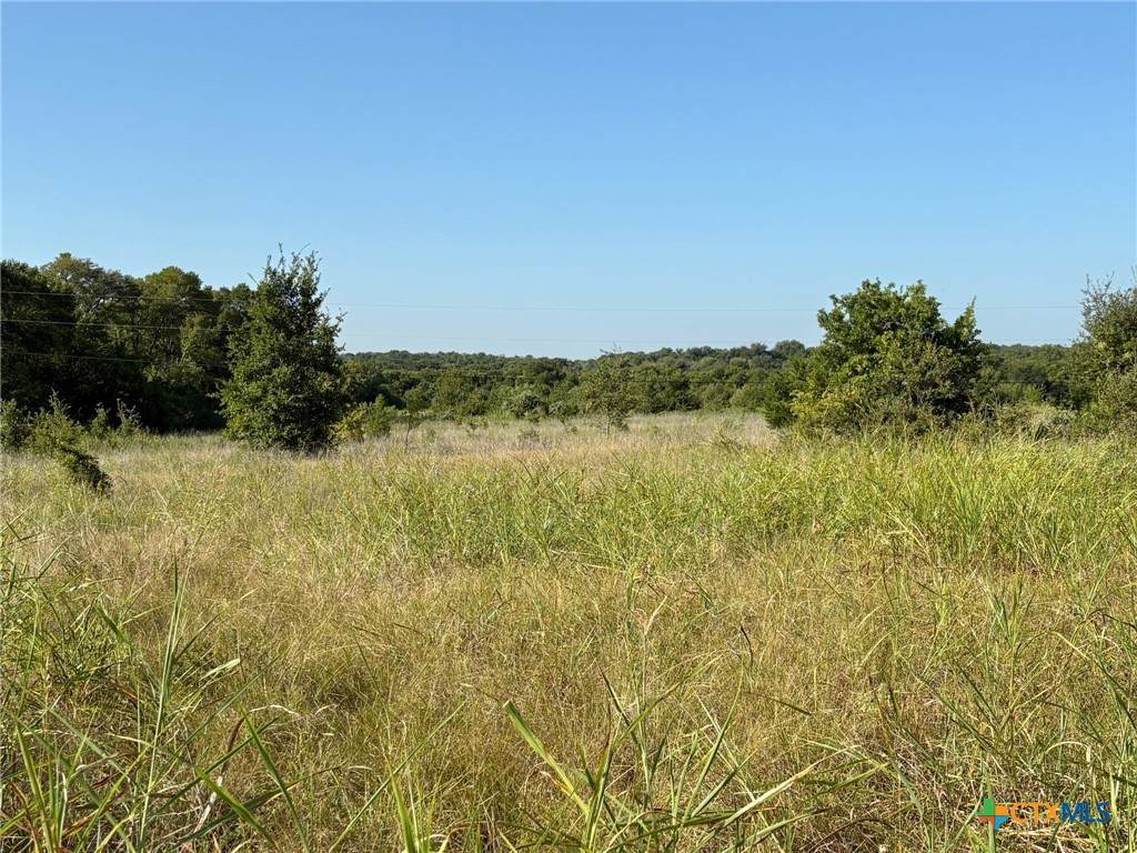 TBD Lamotte Drive - Photo 1