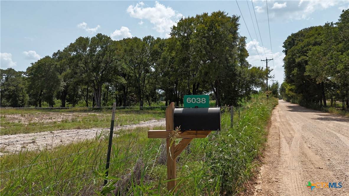 6038 County Road 234 - Photo 1