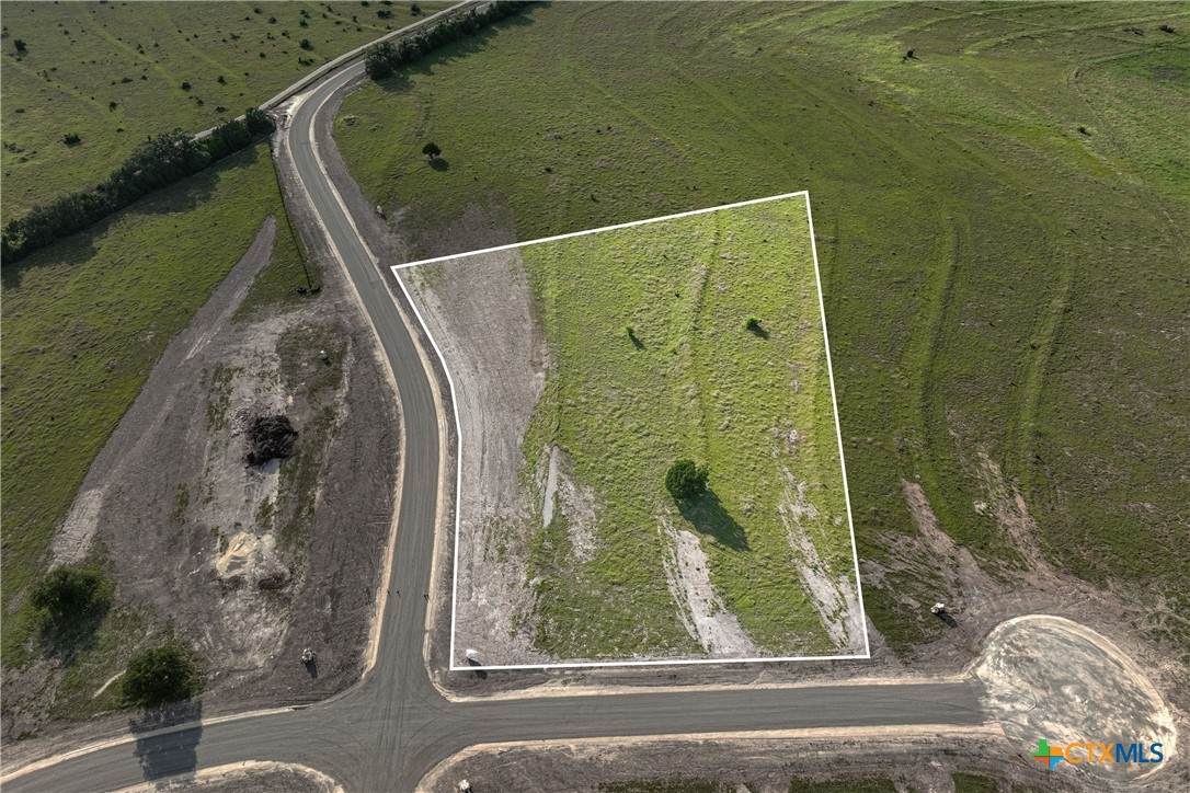 TBD Tract 5 Hank Williams Way - Photo 1