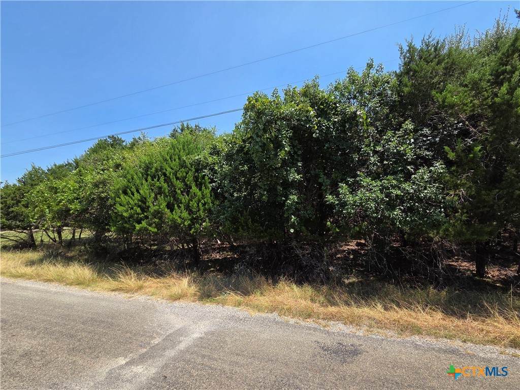 4969 Goliad Drive - Photo 1