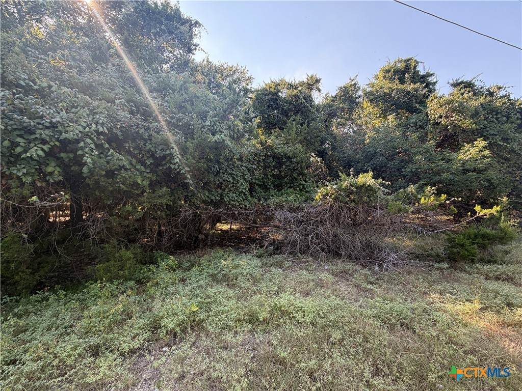 TBD Willow Run Drive - Photo 1