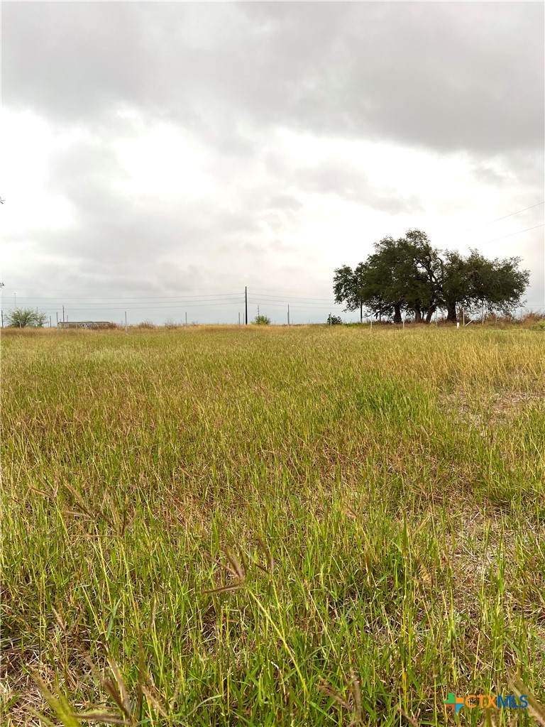 680 Squirrel Creek Road - Photo 1