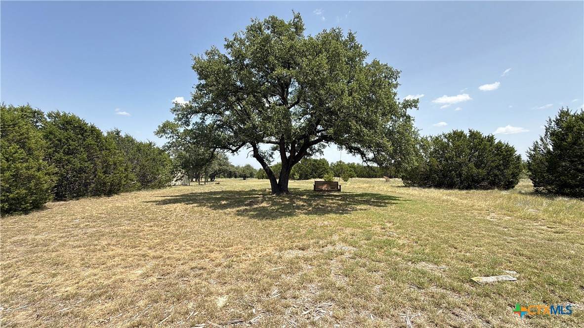 TBD S Hwy 281 - Photo 1