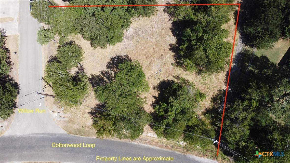 TBDA Willow Run Drive - Photo 1