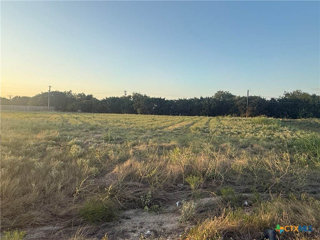7821 Bull Rock Street - Photo 1